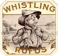 Whistling_rufus_small